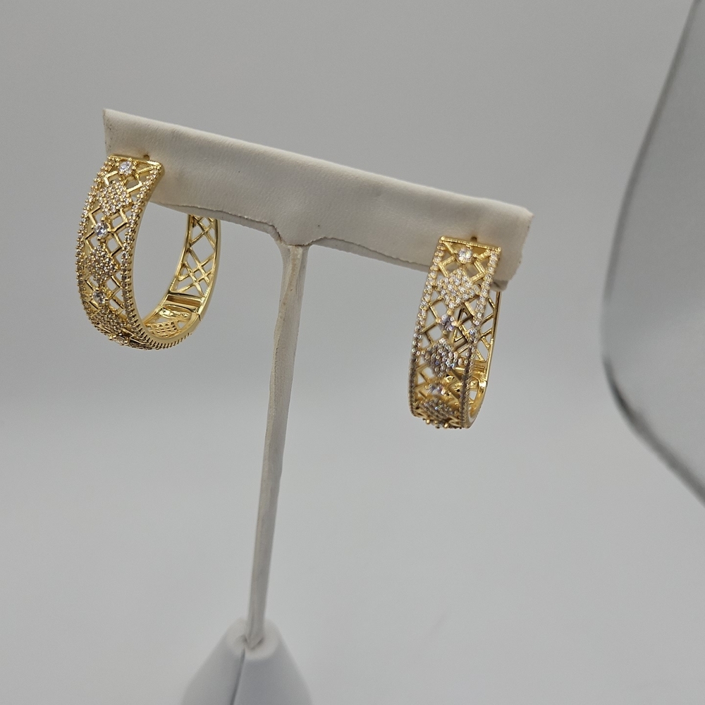 Elegant Gold Hoop Earrings
